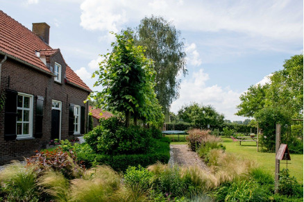 Groepsaccommodatie met paard in Het Voorhuis in Noord-Brabant VMP017