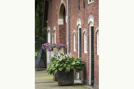 Boerderijhotel Erfgoed Bossem met paarden Twenthe VMP049