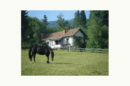Vakantiehuis met eigen bos in een klein dorpje in de Eifel VMP013