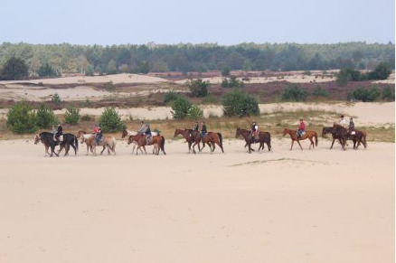 Buitenritten door de Loonse en Drunense Duinen i.s.m. Natuurpoort Van Loon VMP012