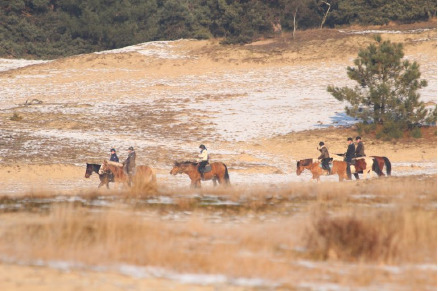 Buitenritten door de Loonse en Drunense Duinen i.s.m. Natuurpoort Van Loon VMP012