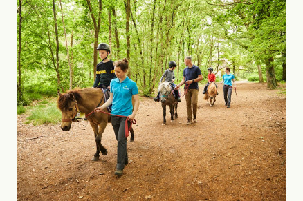 Pony vakantie Landal het Land van Bartje VMP079