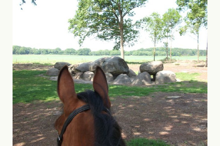 Gastvrij Landhotel Diever met weidegang in Drenthe VMP002