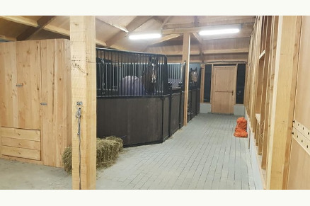 Recreatiepark Het Eperwoud met paard VMP029