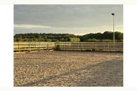 B&B met paardenboxen Hilvarenbeek Noord-Brabant VMP069