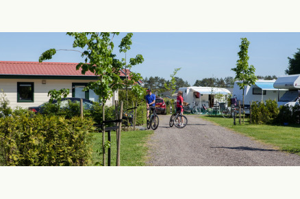 Trekkershutten Het Caitwickerzand op de Veluwe met paardenweide VMP022