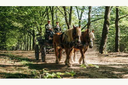 Paardenhotel De Cantharel VMP118