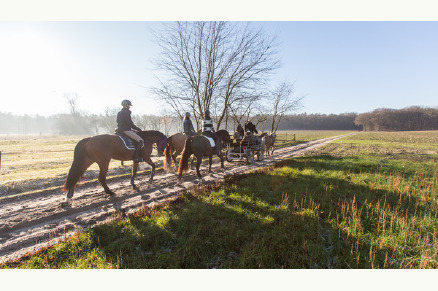 Paardenhotel Brabant Van der Valk VMP135