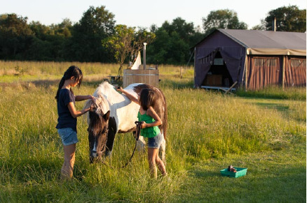 Boerderijcamping Jobinghoeve Grolloo VMP033