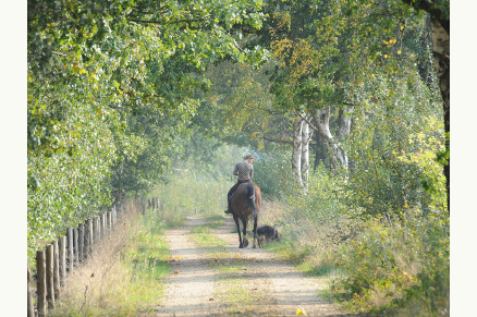 Fletcher Landhotel Bosrijk Roermond met paardenstalling VMP040