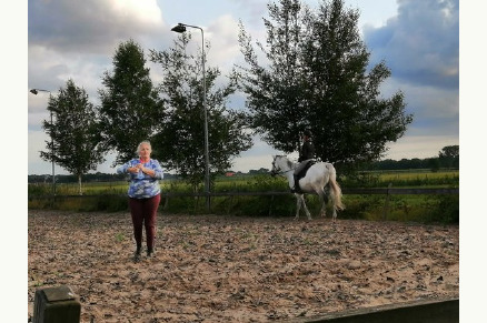 Bed en Pasture in Noord-Brabant VMP078