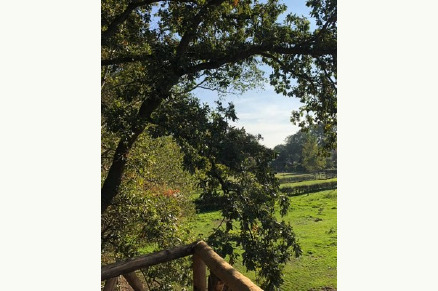 Sfeervolle camping met paard aan de rand van het Dwingelderveld in Drenthe VMP134