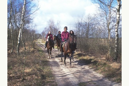 Sfeervolle camping met paard aan de rand van het Dwingelderveld in Drenthe VMP134