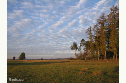 Het Boshuis Wateren Drenthe VMP016