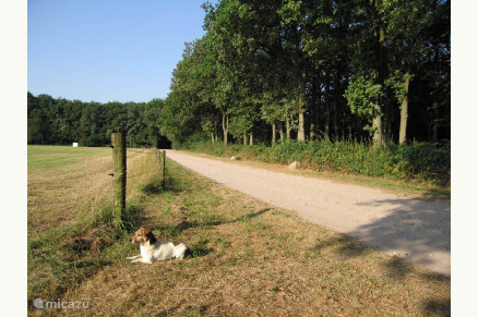 Het Boshuis Wateren Drenthe VMP016