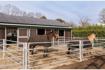 Horseback Holidays VMP069