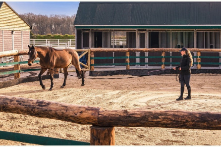 Horseback Holidays VMP069