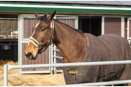 Horseback Holidays VMP069
