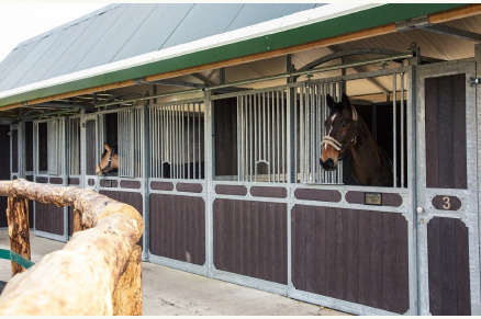 Horseback Holidays VMP069