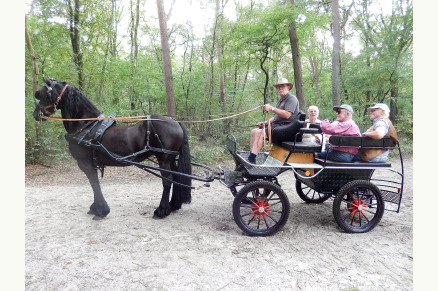 Kamperen met uw paard op Camping t Witte Zand VMP091