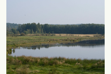 Fletcher Landhotel Bosrijk Roermond met paardenstalling VMP040