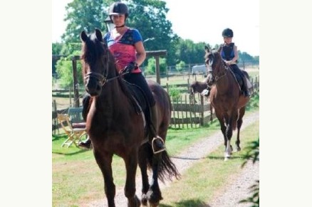 B&B Annen met paard Drenthe VMP029