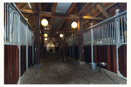Wellnesshuisje met stal in Langbroek  VMP094
