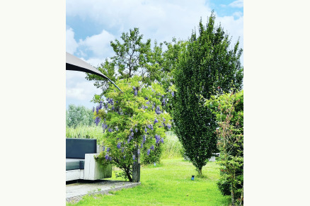 Wellnesshuisje met stal in Langbroek  VMP094
