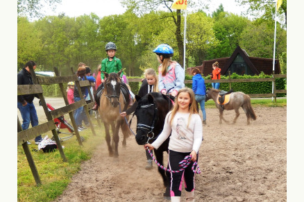 Kamperen met uw paard op Camping t Witte Zand VMP091