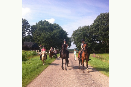 Boerderijcamping Jobinghoeve Grolloo VMP033