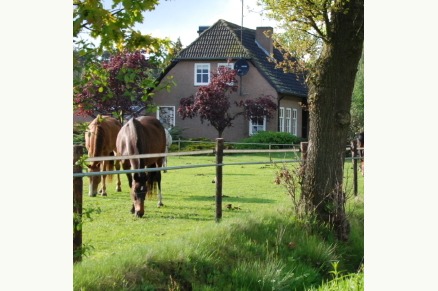 Dorpswoning De Plek vrijstaande woning  met stal Noord-Brabant VMP073