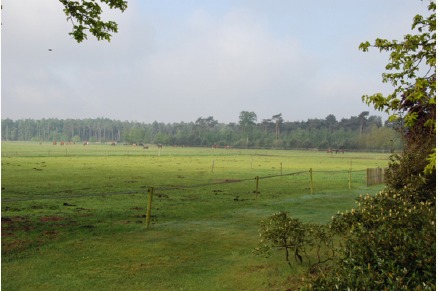 Dorpswoning De Plek vrijstaande woning  met stal Noord-Brabant VMP073