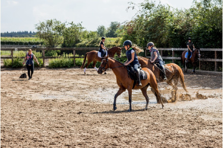 Vakantie met paard Landgoed Scheleberg VMP075