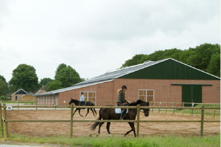 Vakantiehuizen op park Horsetellerie Rheezenveen VMP061