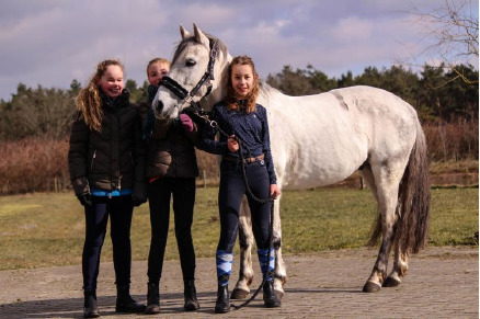 Vakantiehuizen op park Horsetellerie Rheezenveen VMP061