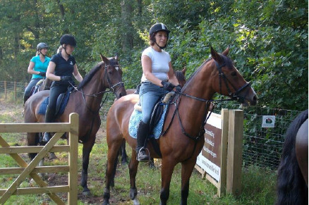 Vakantiehuizen op park Horsetellerie Rheezenveen VMP061