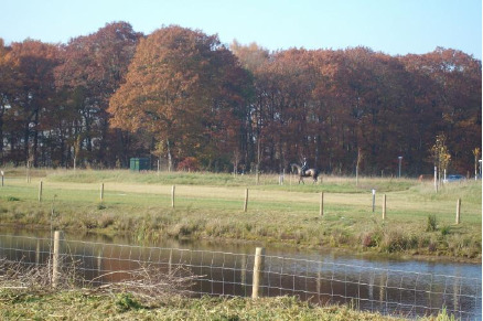 Vakantiehuizen op park Horsetellerie Rheezenveen VMP061