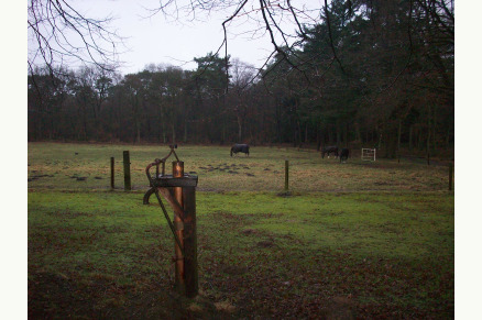 Nostalgische vakantieboerderij op Landgoed Den Haspel VMP125